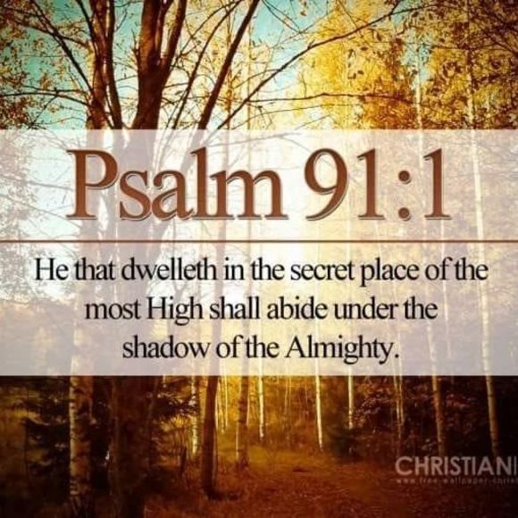 Meet your Posher, Loretta - Picture 1 of 1